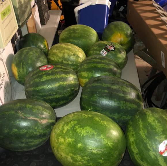 Meet your Posher, Louis - Picture 1 of 1